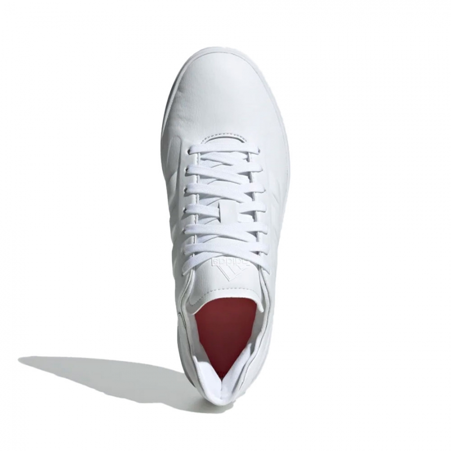 zntasy-lightmotion-stile-di-vita zntasy-lightmotion-stile-di-vita