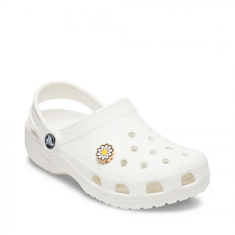 charm-daisy charm-daisy