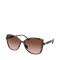 300613-BROWN