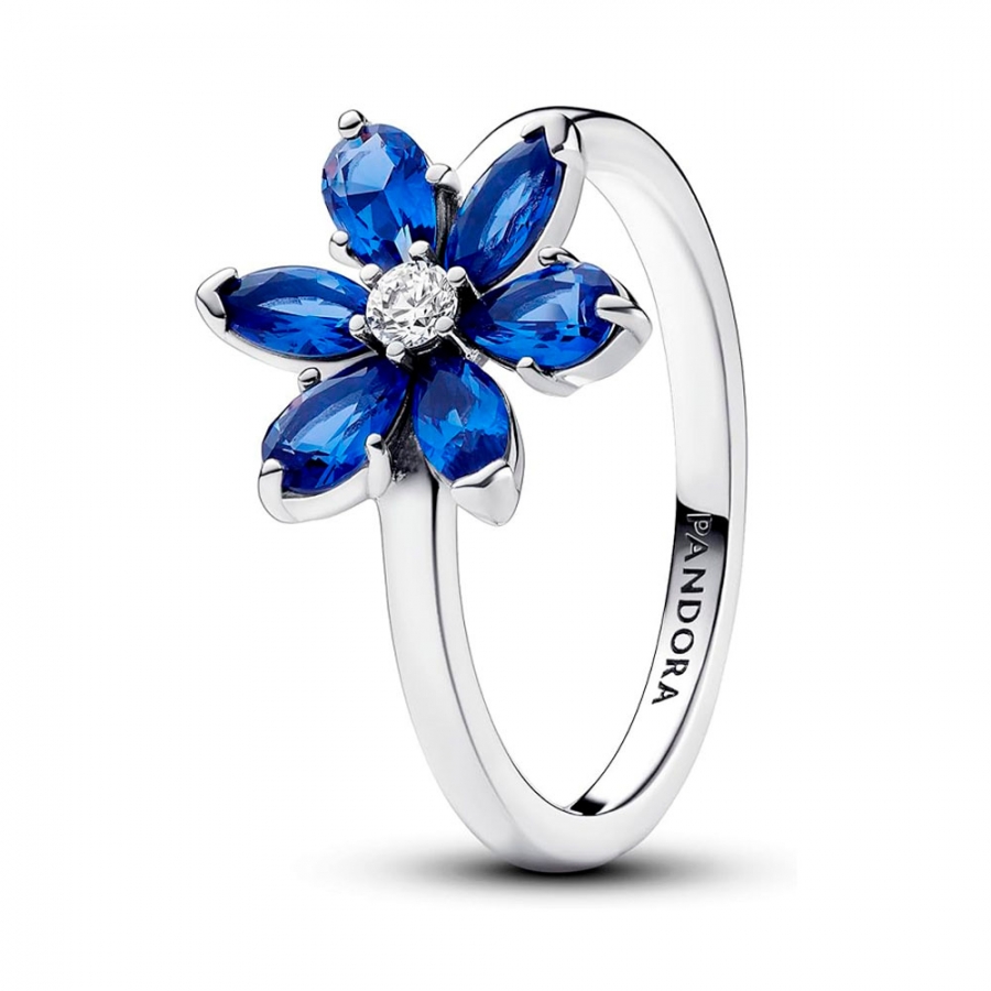 blauer-glanzender-krauterring-193000c01 blauer-glanzender-krauterring-193000c01