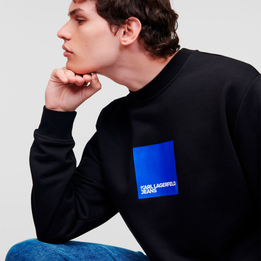 sweatshirt-mit-box-logo sweatshirt-mit-box-logo