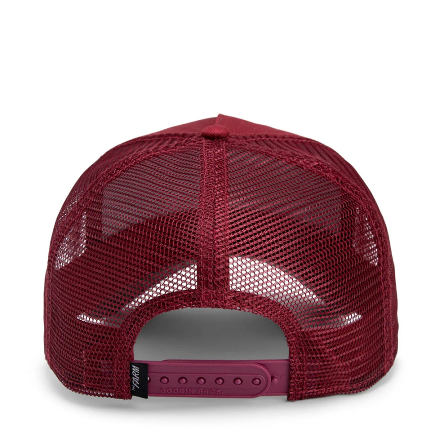 -himothy-cap -himothy-cap