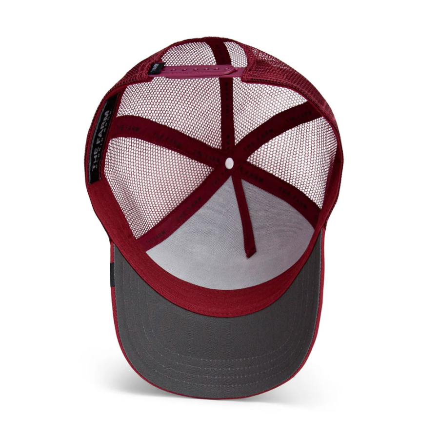 casquette-himothy- casquette-himothy-