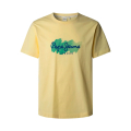 039-SHINE YELLOW