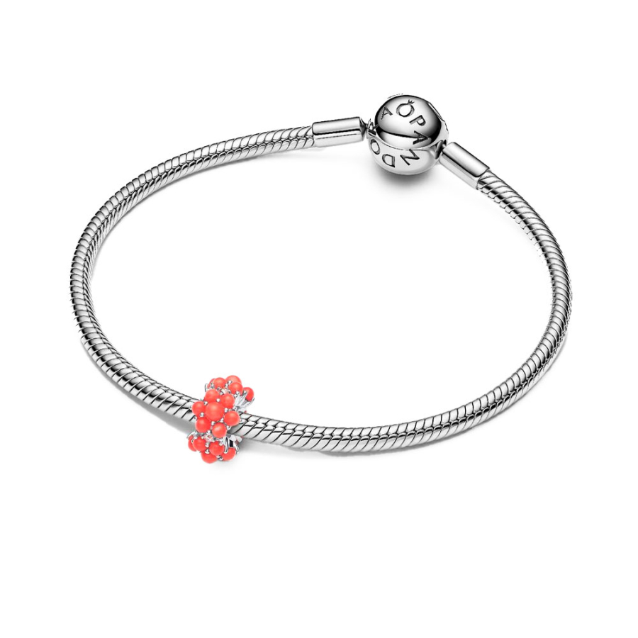 charme-ocean-793897c01 charme-ocean-793897c01