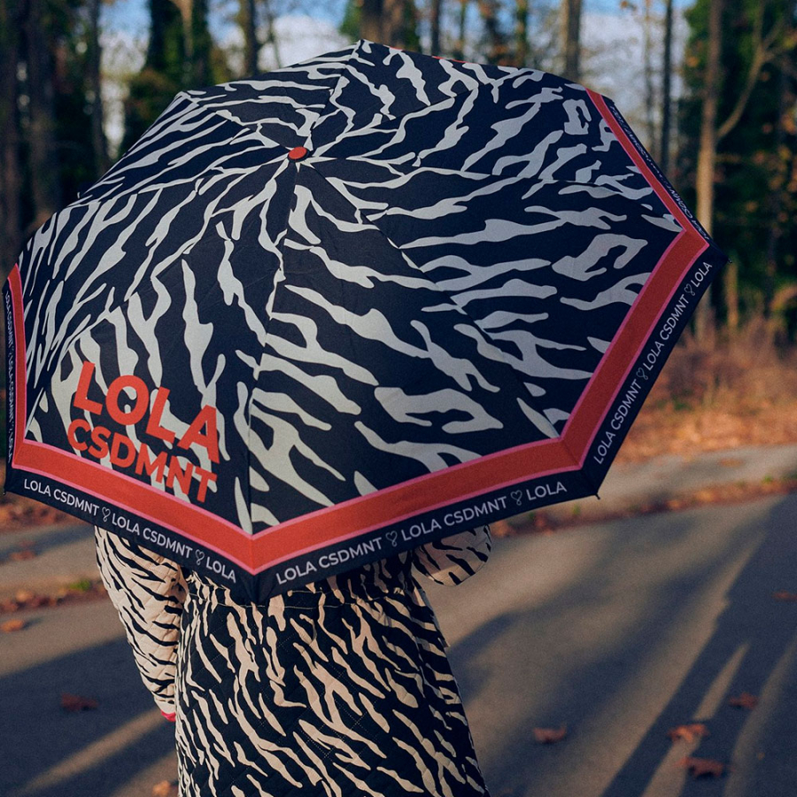small-automatic-umbrella