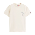 ACH-DESERT SAND DUNE