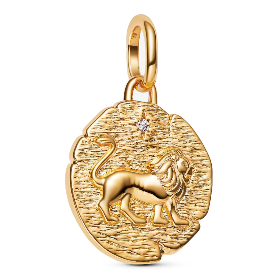 lion-medallion-charm lion-medallion-charm
