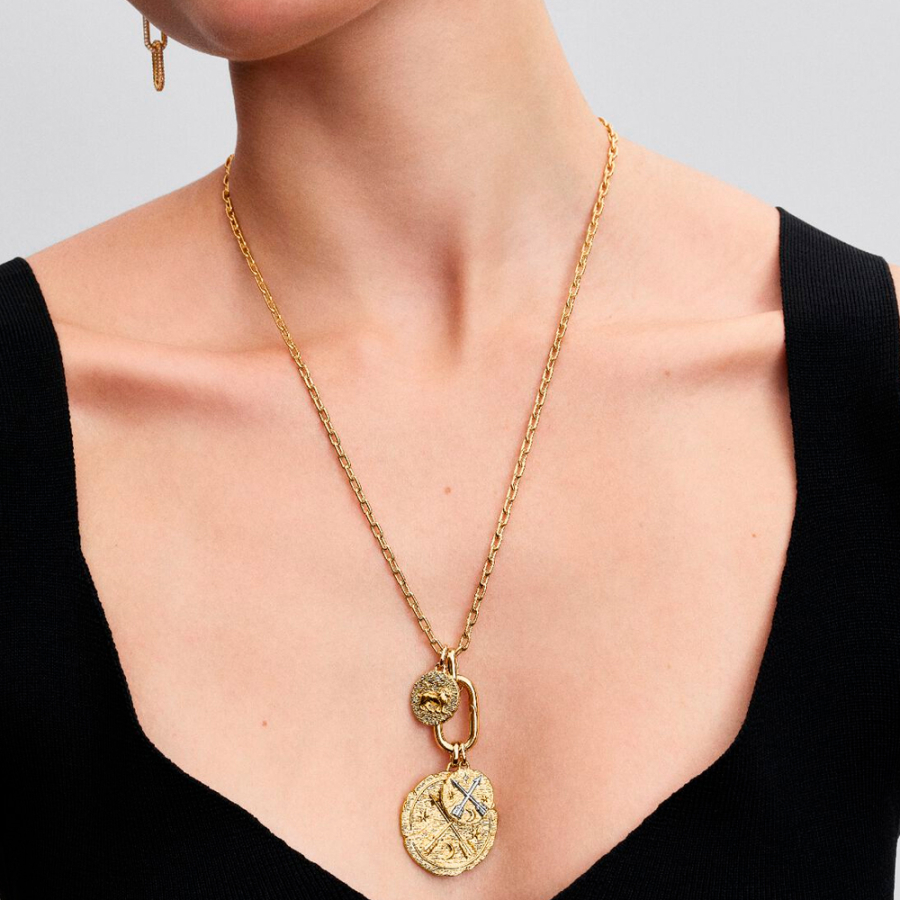 charm-medallon-de-leon charm-medallon-de-leon