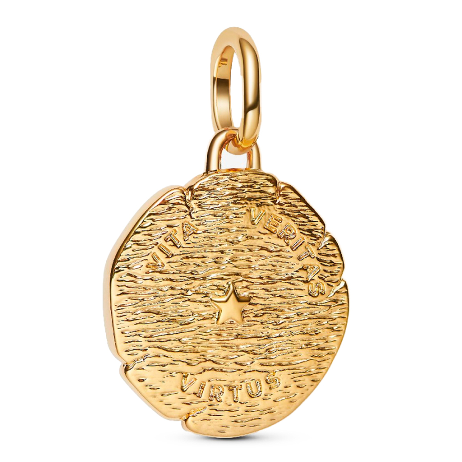charm-medallon-de-leon charm-medallon-de-leon