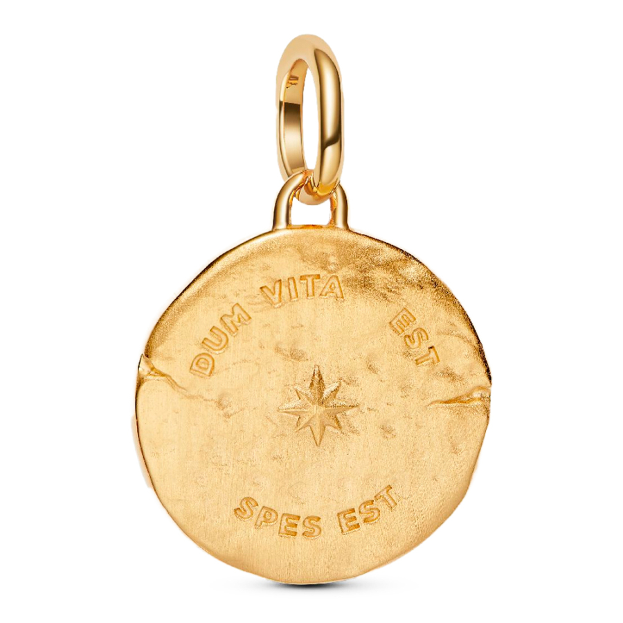 pingente-medalhao-de-andorinha pingente-medalhao-de-andorinha