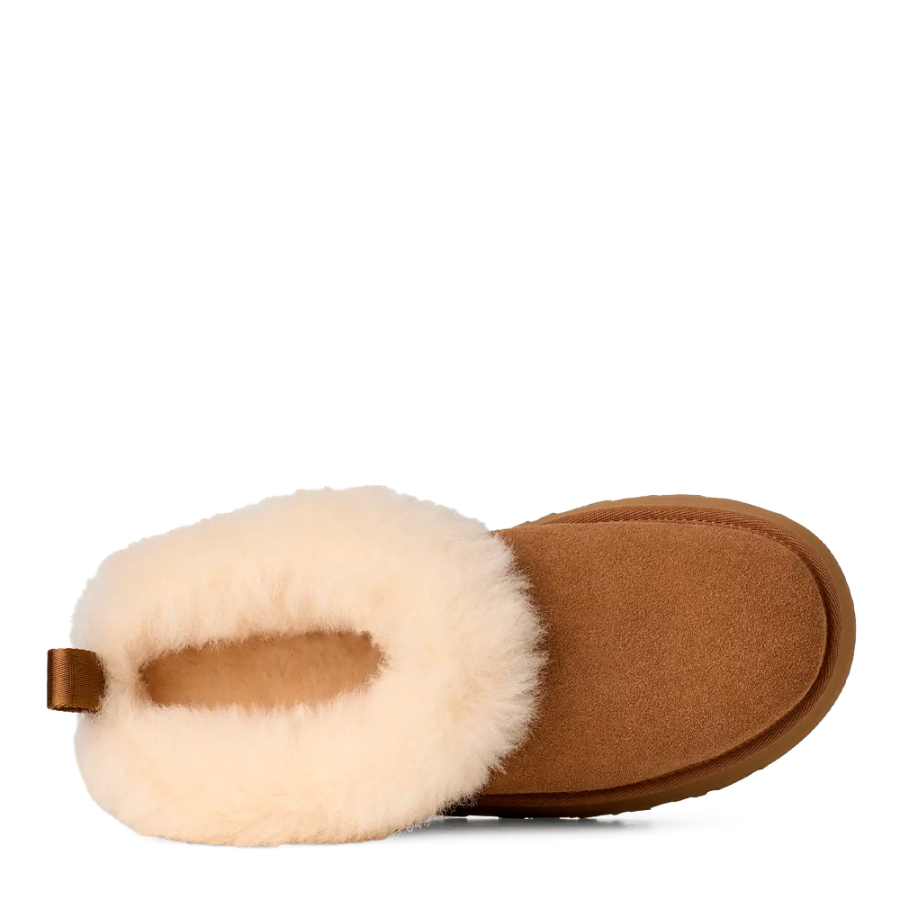 tazzelle-sneaker tazzelle-sneaker