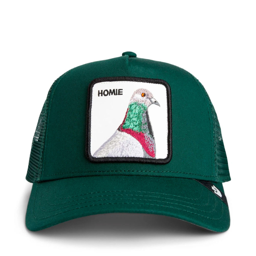 o-bone-homie-pigeon