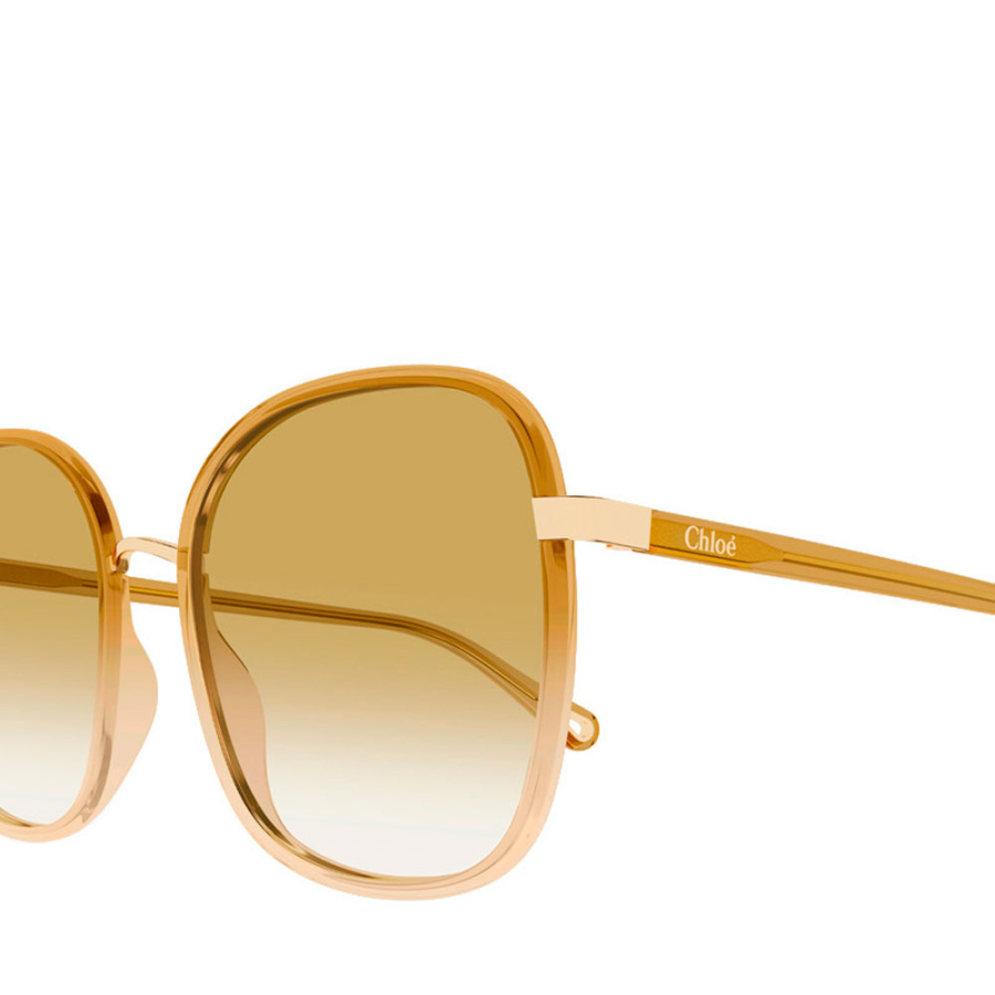 sunglasses-ch0031s