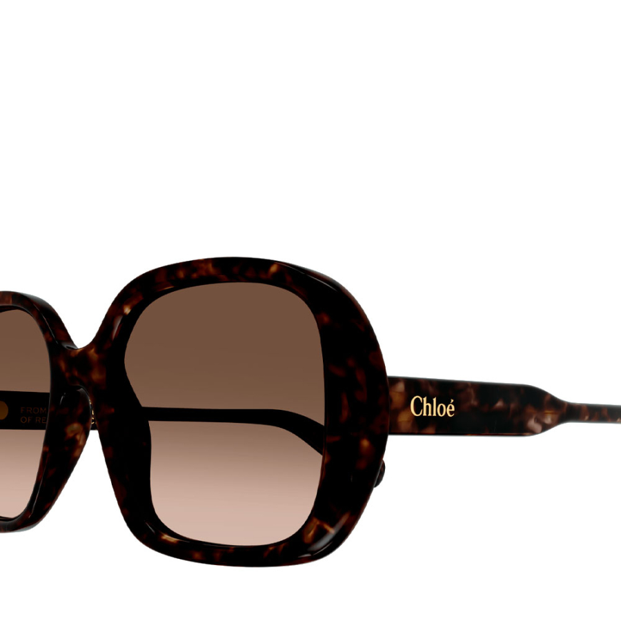 sunglasses-ch0222s sunglasses-ch0222s