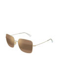 002-Shiny Light Gold / HCL Bronze