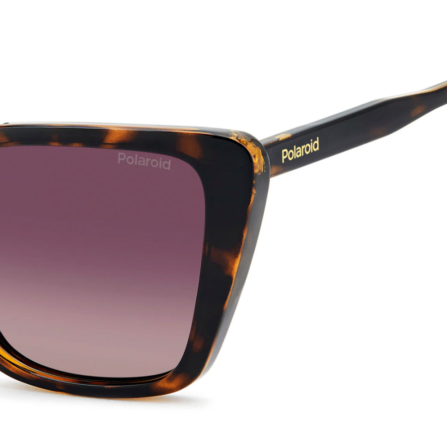lunettes-de-soleil-pld-4189-s lunettes-de-soleil-pld-4189-s