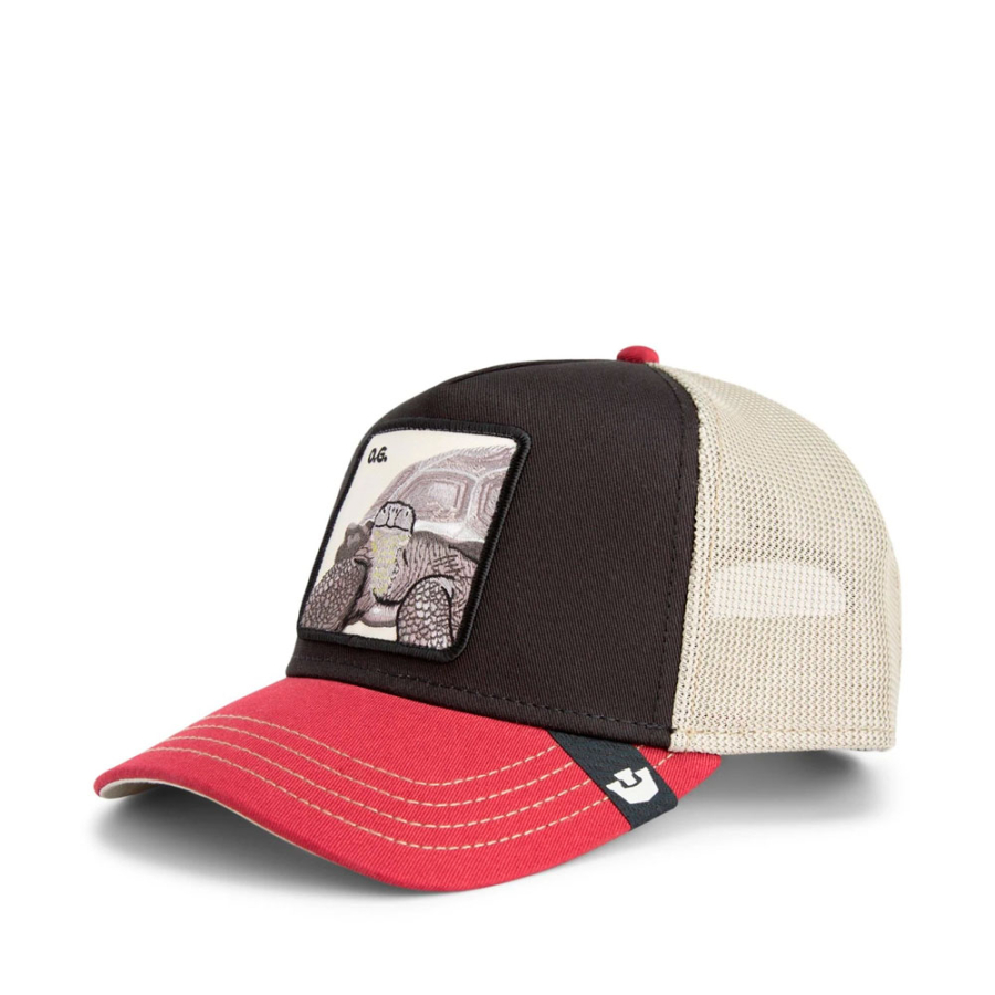 gorra-tricolor-tortiouse gorra-tricolor-tortiouse