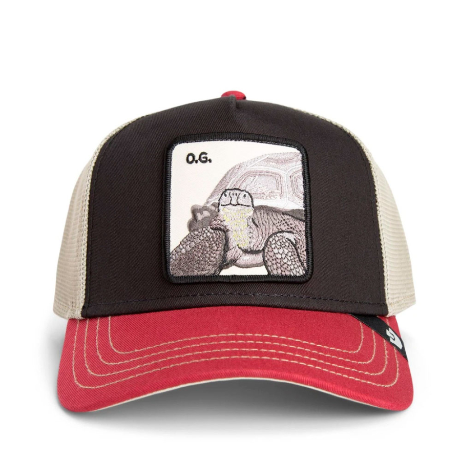 gorra-tricolor-tortiouse gorra-tricolor-tortiouse