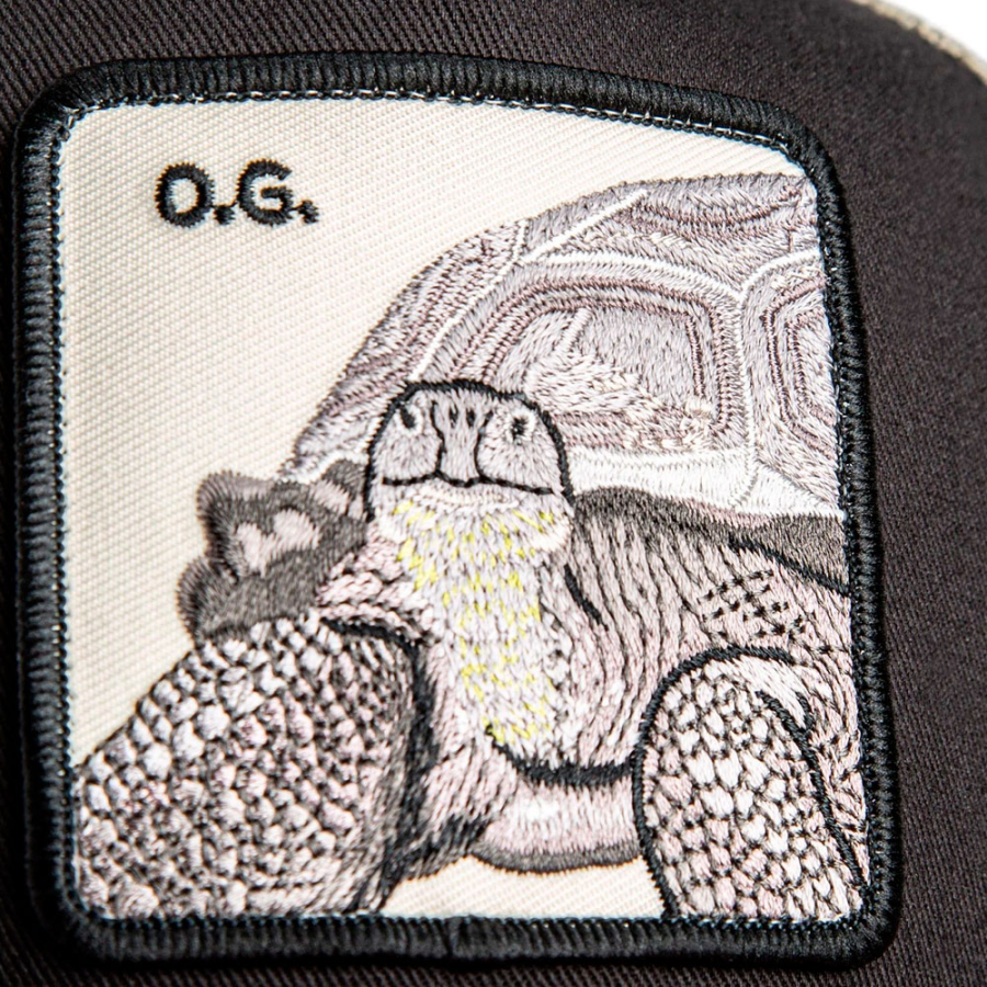 cappello-a-forma-di-tartaruga-tricolore cappello-a-forma-di-tartaruga-tricolore