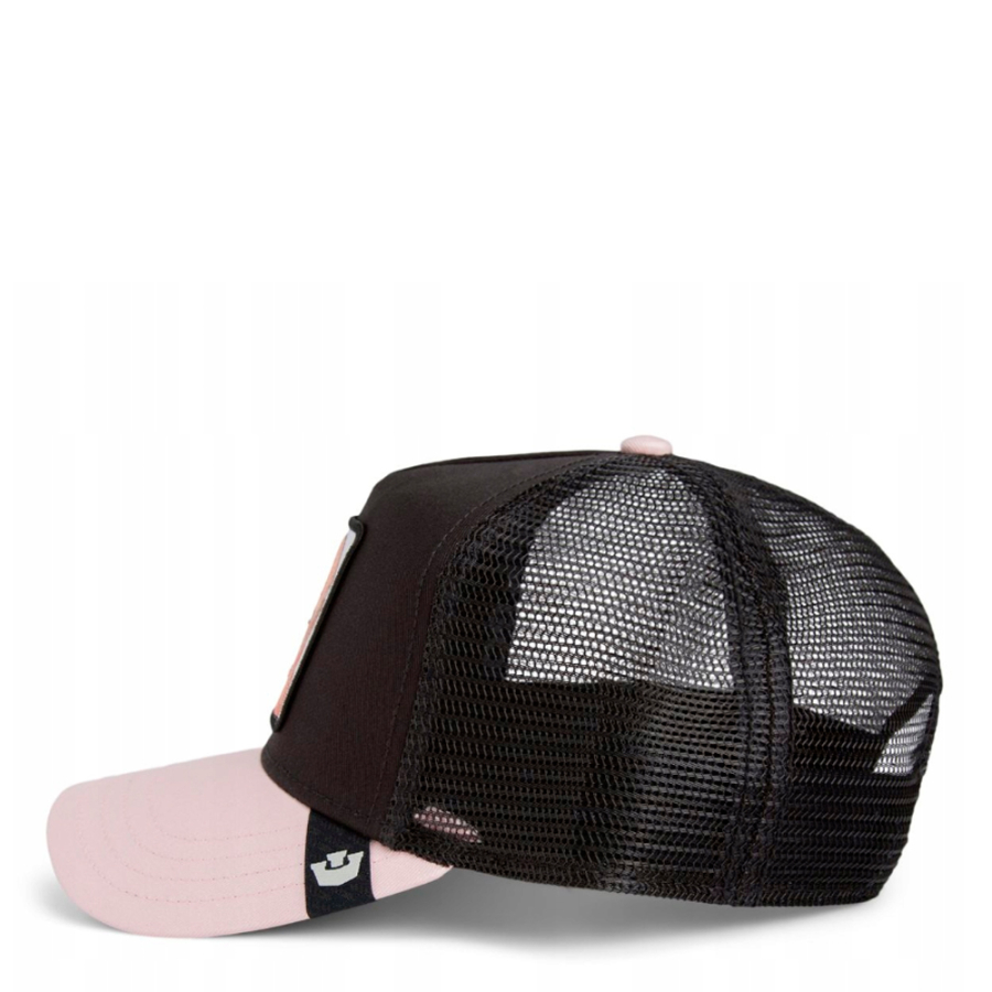 die-sphynx-kappe die-sphynx-kappe