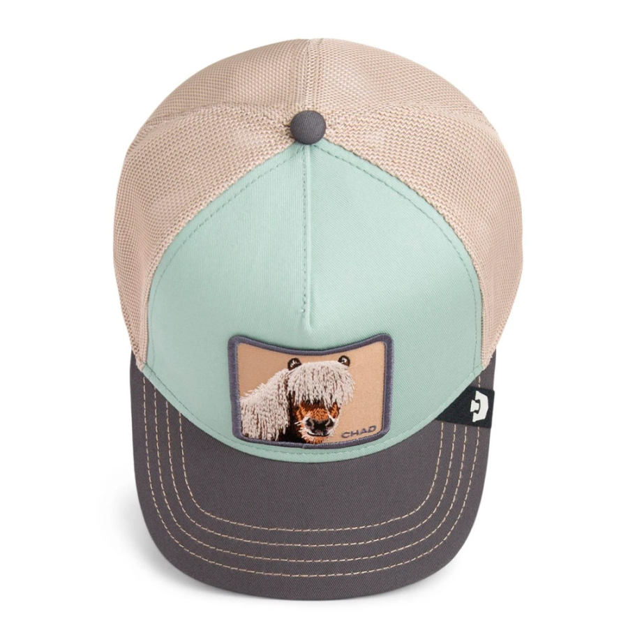 tricolor-horse-cap