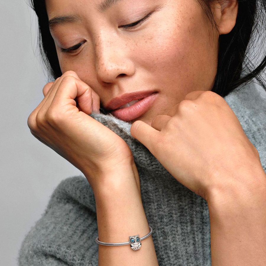 breloque-hibou-scintillant-798397nbcb breloque-hibou-scintillant-798397nbcb