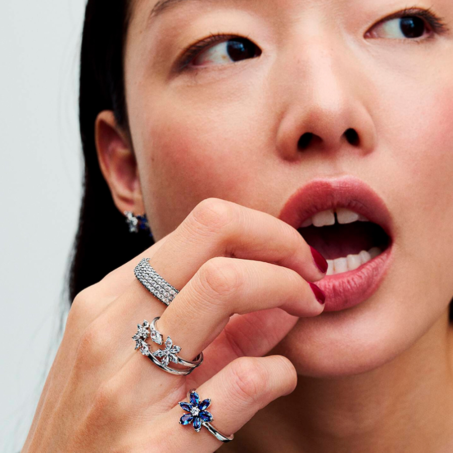 herbier-a-anneaux-ouverts-brillant-192611c01