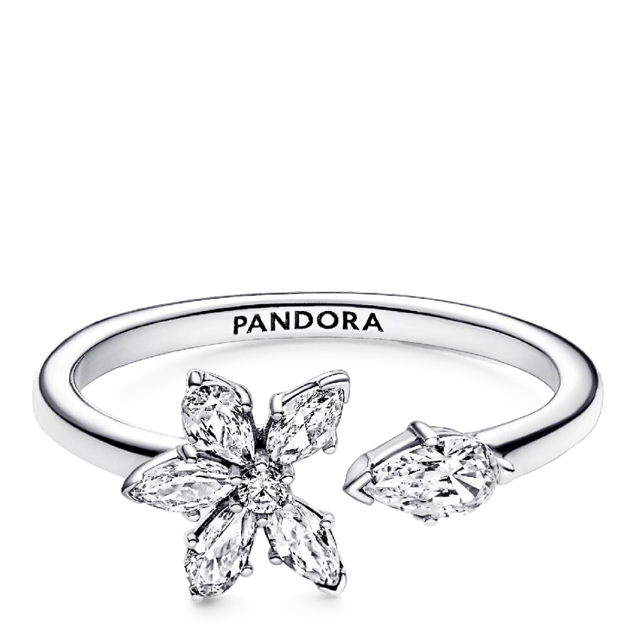 offenes-ringherbarium-brilliant-192611c01 offenes-ringherbarium-brilliant-192611c01