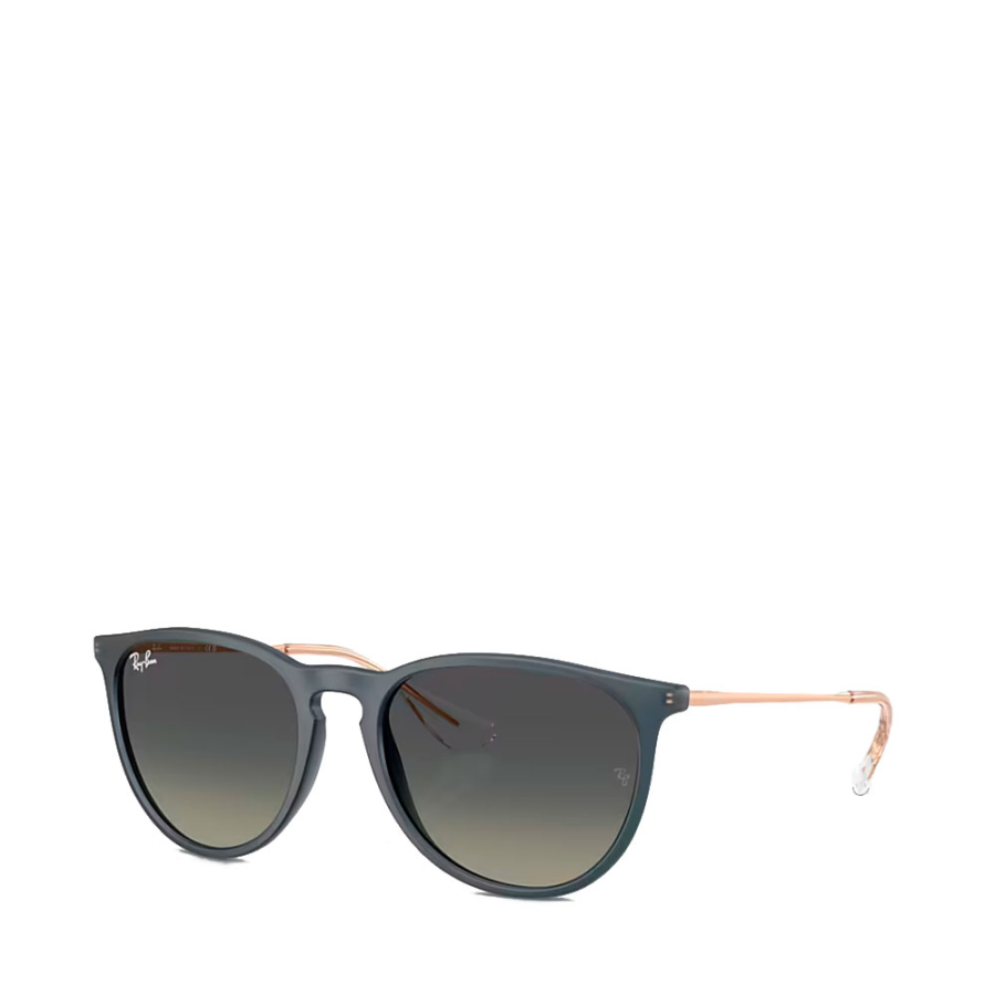 erika-sunglasses-0rb4171 erika-sunglasses-0rb4171