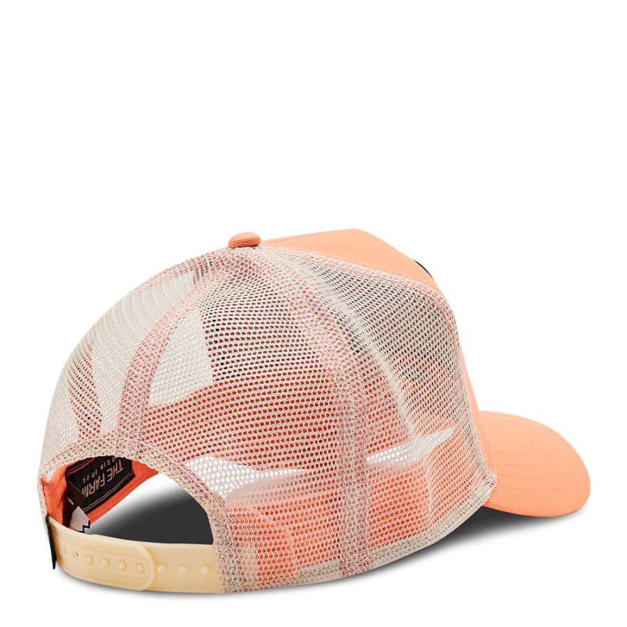 le-bonnet-de-la-reine-des-abeilles le-bonnet-de-la-reine-des-abeilles