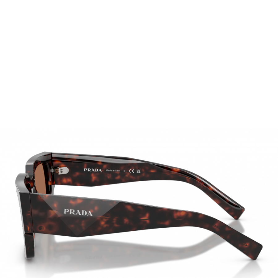 lunettes-de-soleil-root-0pr-b17s