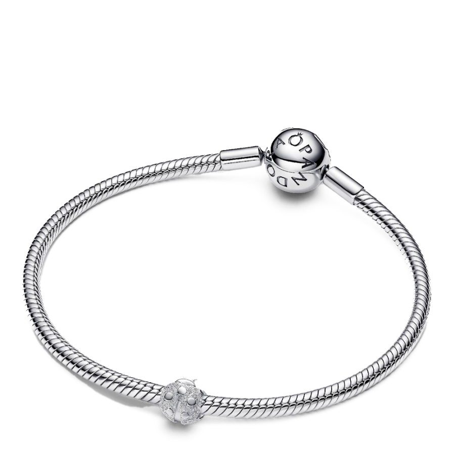 charm-mini-mariquita-textura