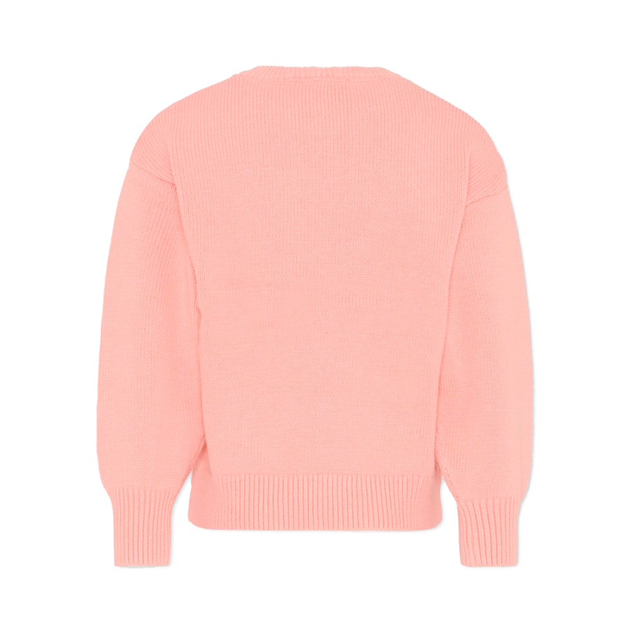 jersey-con-logo-de-tigre-kids jersey-con-logo-de-tigre-kids