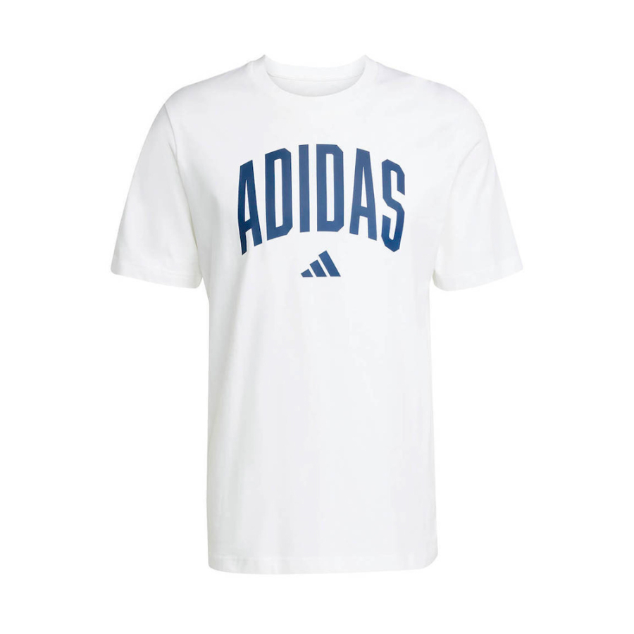 t-shirt-mit-hochschul-abstammung-grafik