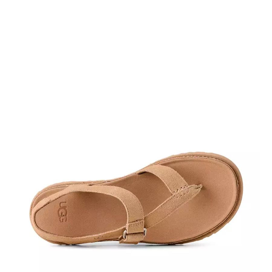 goldengaze-toe-strap-sandals