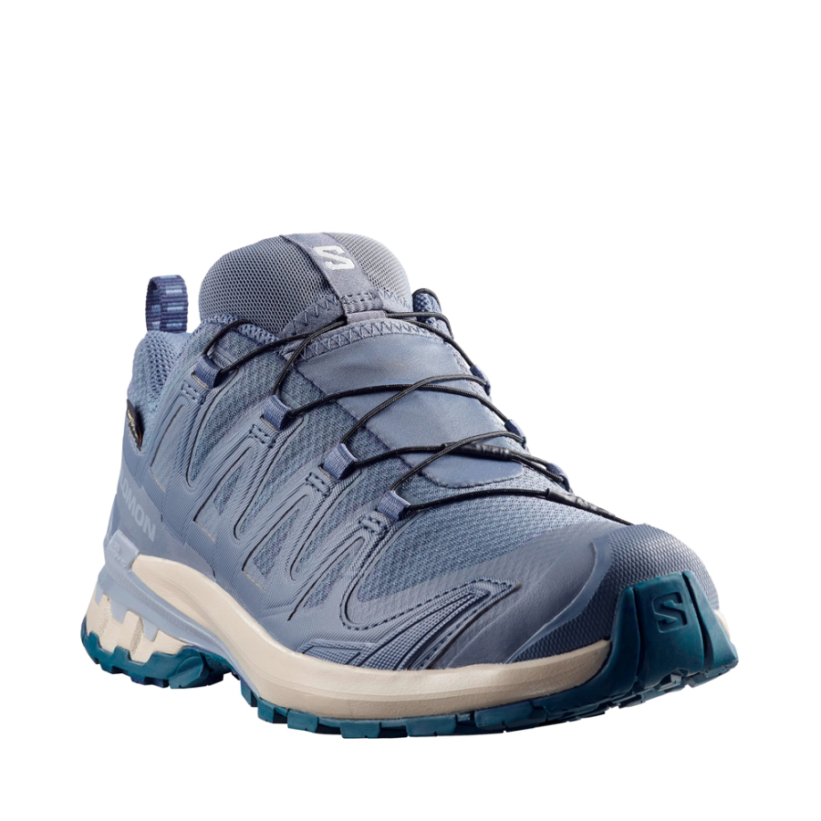 xa-pro-3d-v9-gore-tex-shoes