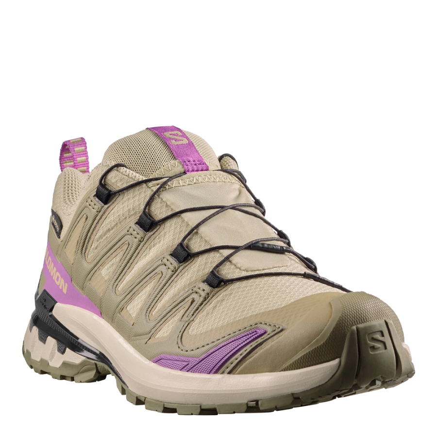 xa-pro-3d-v9-gore-tex-shoe