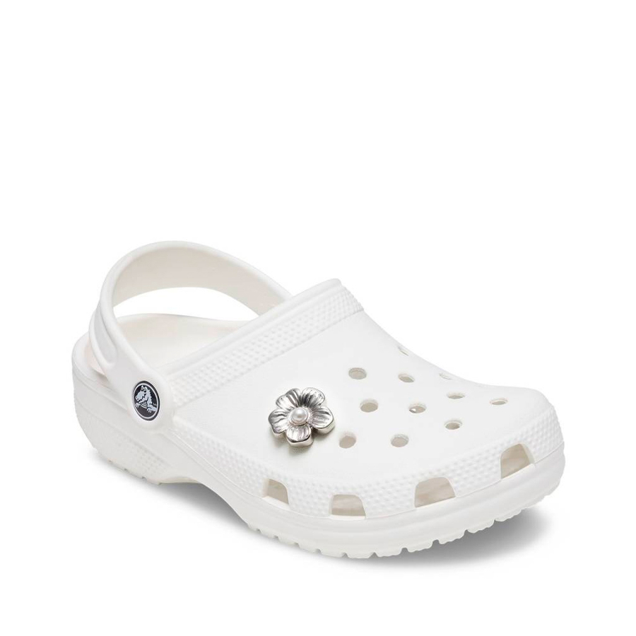 margherita-argentata margherita-argentata