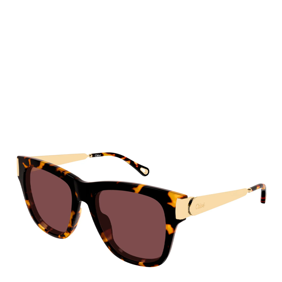 sunglasses-ch0349s sunglasses-ch0349s