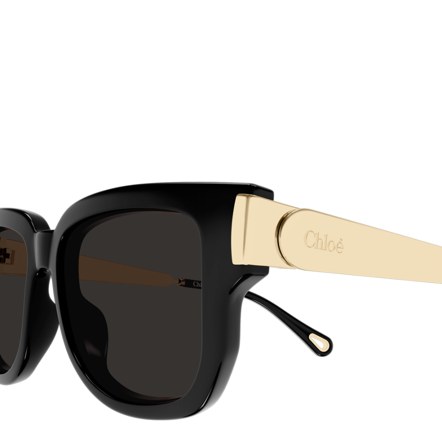 lunettes-de-soleil-ch0351s