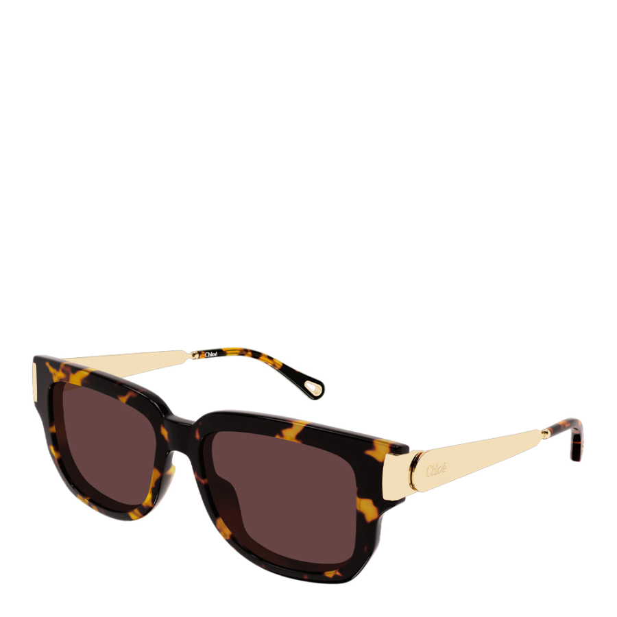 lunettes-de-soleil-ch0351s