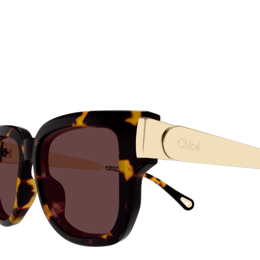 sunglasses-ch0351s