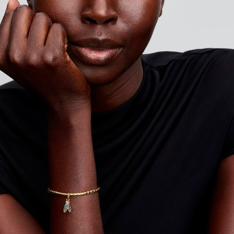 cicala-charm-764490c01