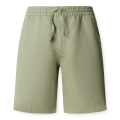701-PALM GREEN