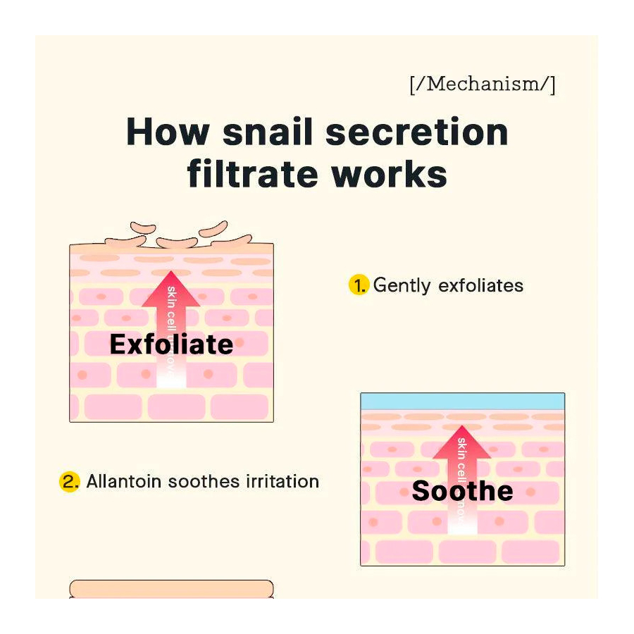 advanced-snail-96-mucin-power-essenz-regenerative-behandlung-anti-falten