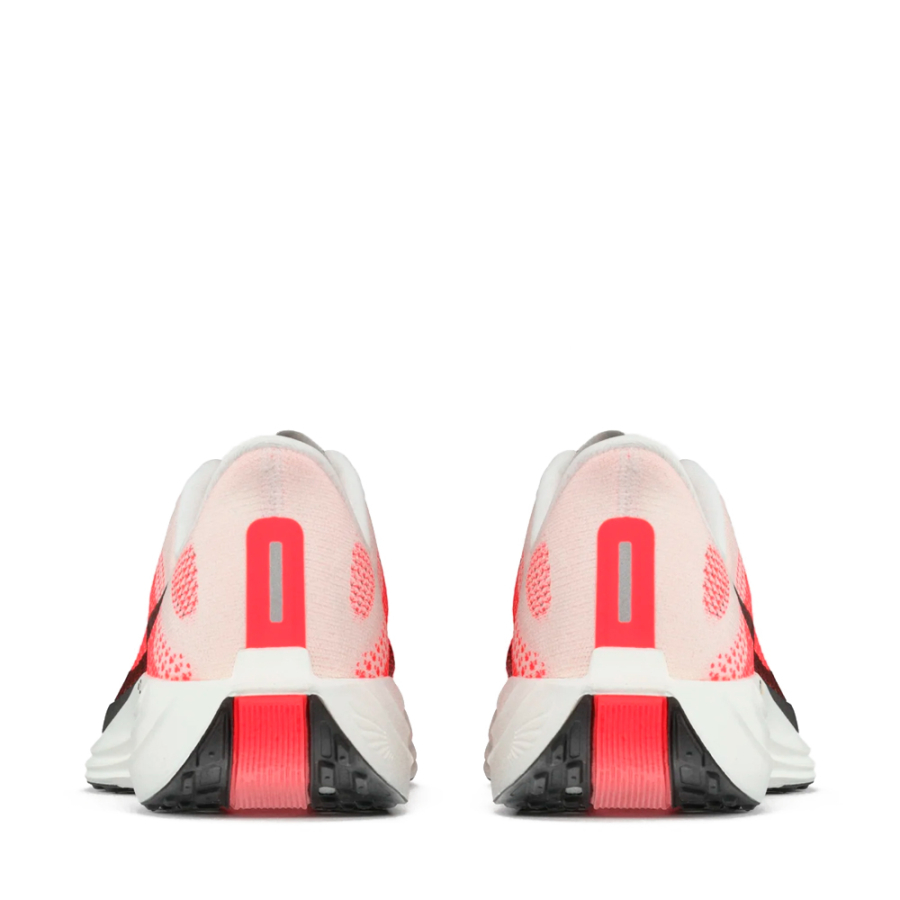 chaussures-pegasus-plus