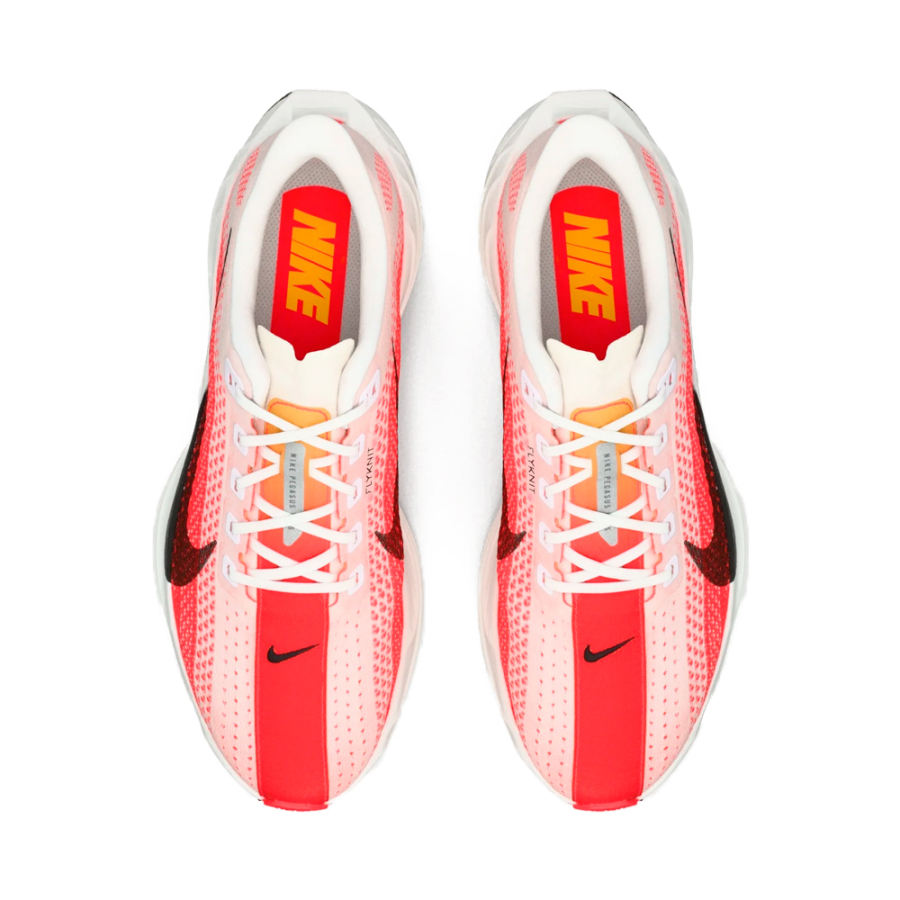 chaussures-pegasus-plus