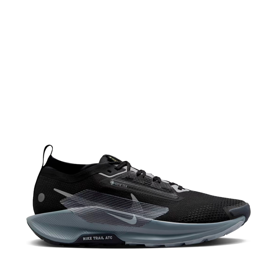 chaussures-pegasus-trail-5-gore-tex