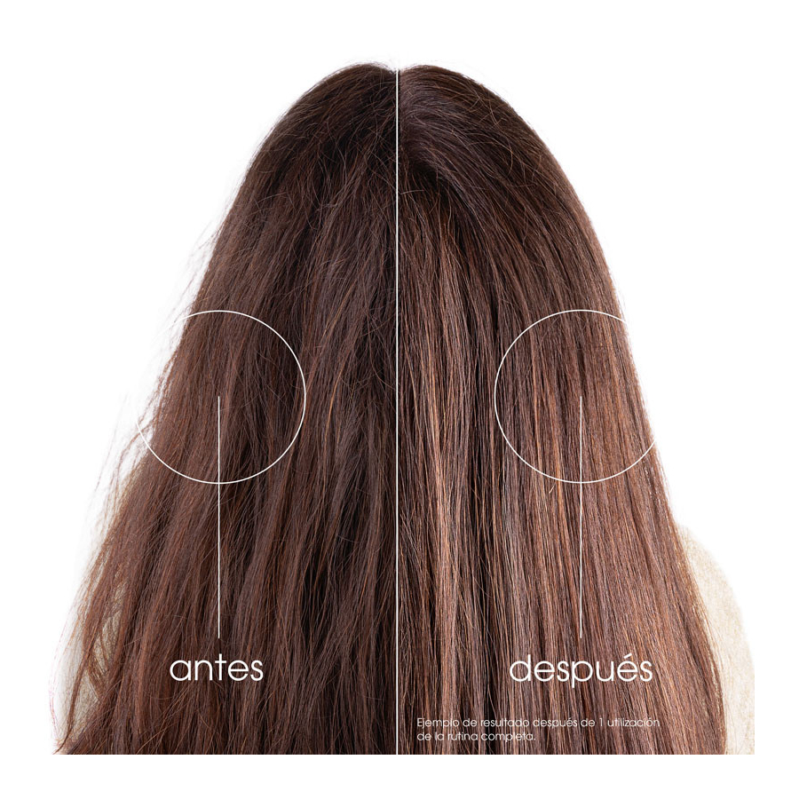 Champú Hidratación y Brillo al Higo de Barbaria